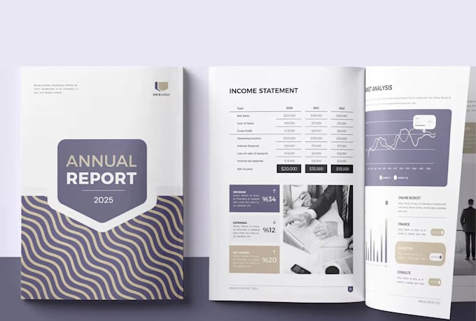 design investor ready annual reports for companies
